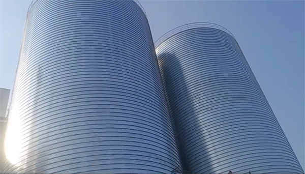 彬县2座混凝土高架卷板仓